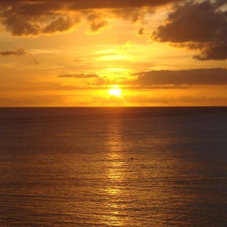 Coral Lane Beach Apartments Saint James Esterno foto