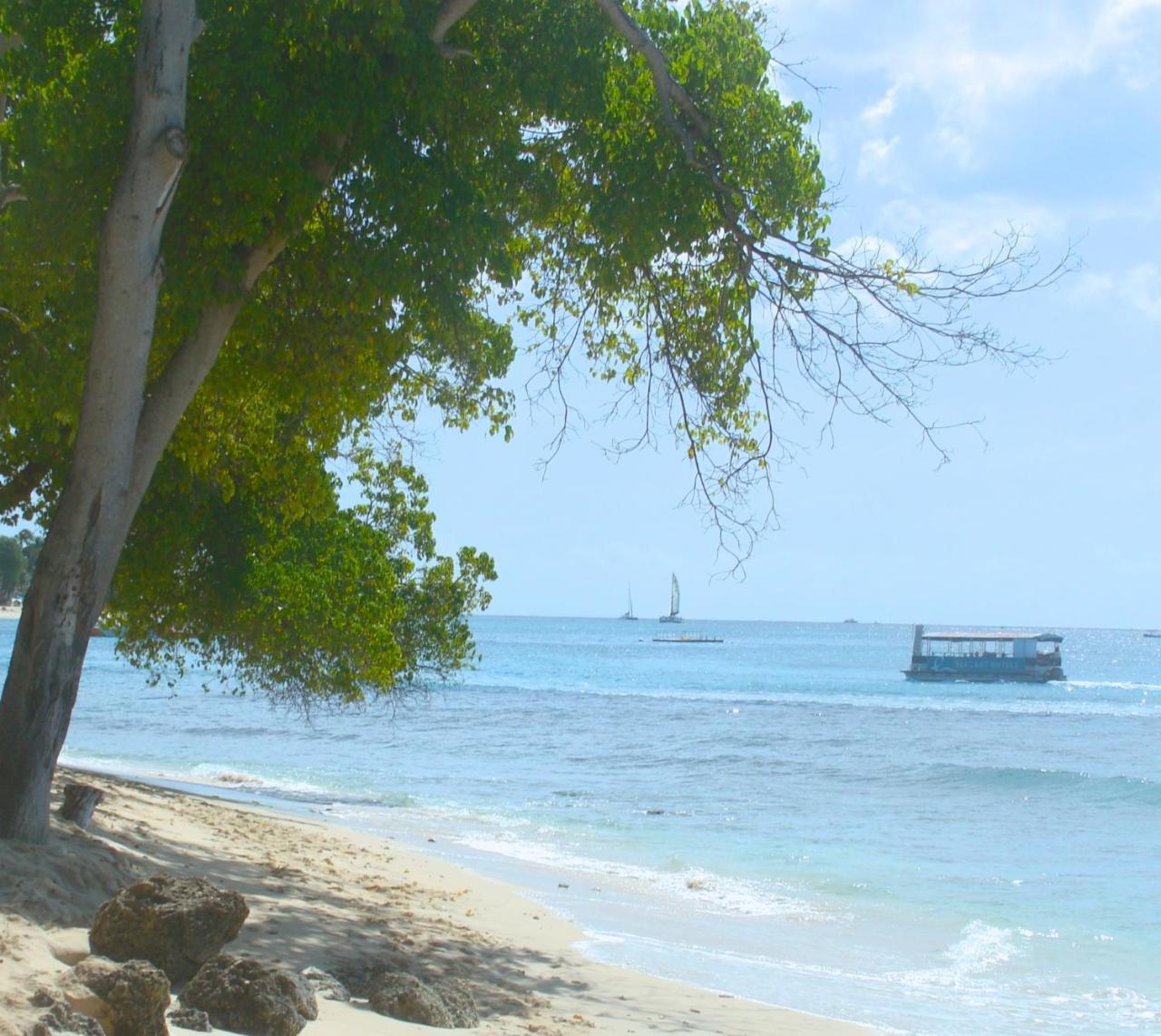 Coral Lane Beach Apartments Saint James Esterno foto