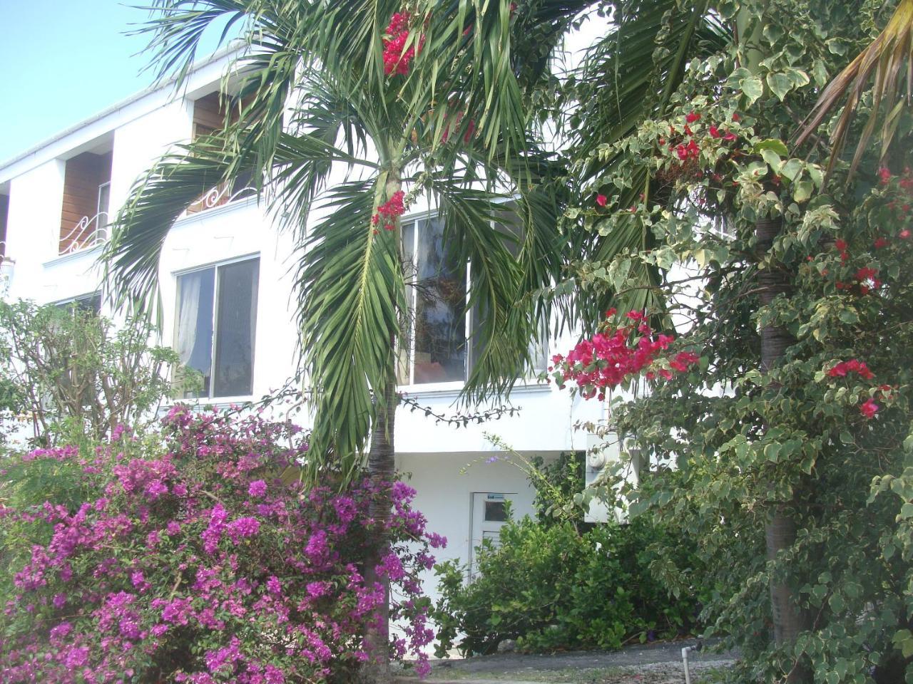 Coral Lane Beach Apartments Saint James Esterno foto